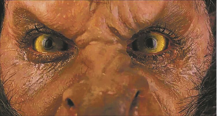 A Halloween wolf pack: Werewolves on screen